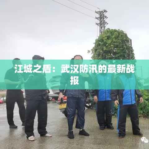 江城之盾:武汉防汛的最新战报