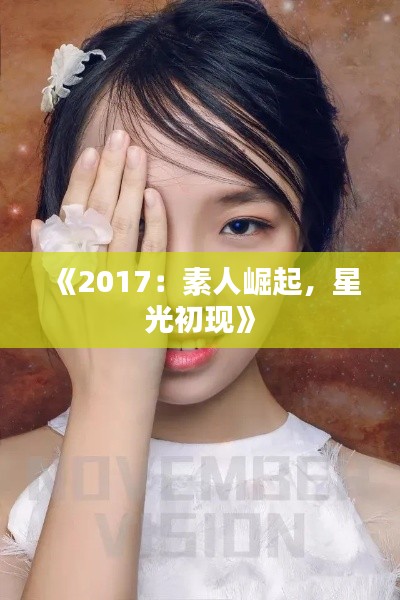 《2017:素人崛起,星光初现》