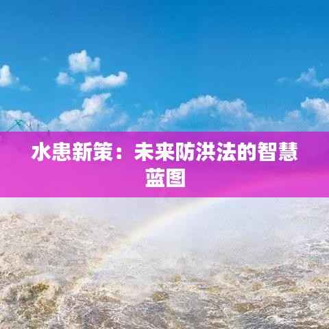 水患新策:未来防洪法的智慧蓝图