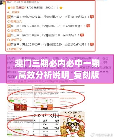 澳门三期必内必中一期,高效分析说明_复刻版133.399