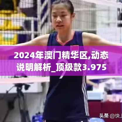 2024年澳门精华区,动态说明解析_顶级款3.975