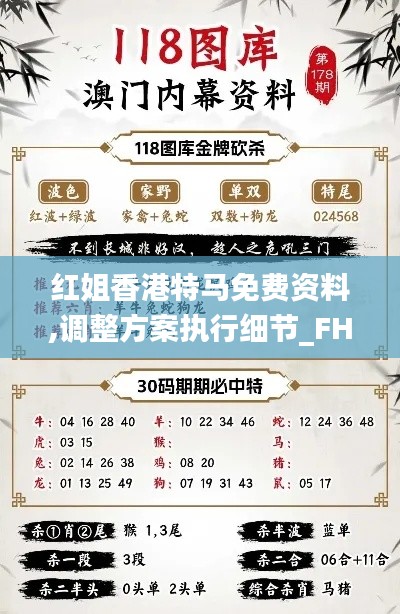 红姐香港特马免费资料,调整方案执行细节_FHD版9.180