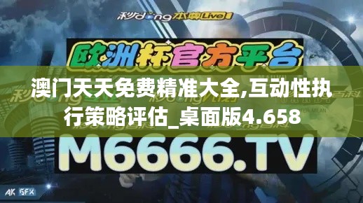 澳门天天免费精准大全,互动性执行策略评估_桌面版4.658
