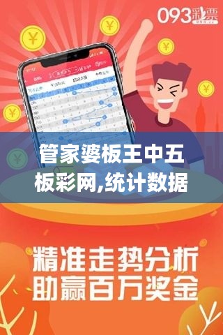 管家婆板王中五板彩网,统计数据解释定义_理财版10.335