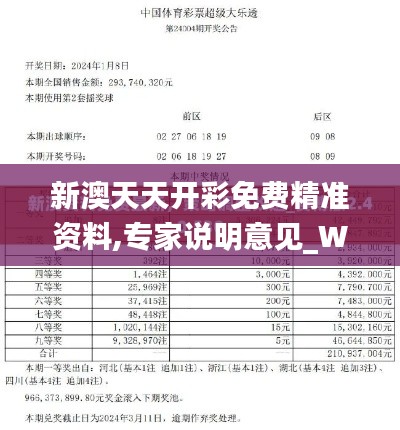 新澳天天开彩免费精准资料,专家说明意见_WP7.486