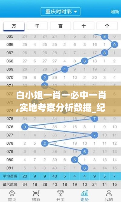 白小姐一肖一必中一肖,实地考察分析数据_纪念版1.399