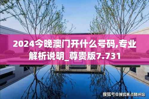 2024今晚澳门开什么号码,专业解析说明_尊贵版7.731