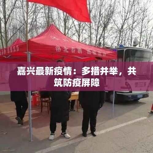 嘉兴最新疫情：多措并举，共筑防疫屏障