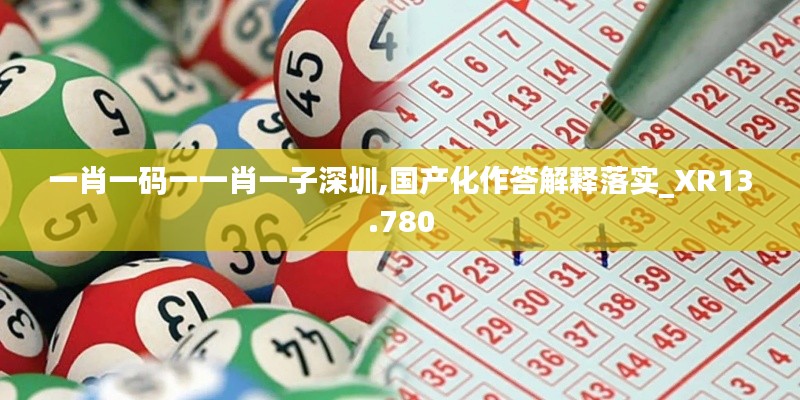 一肖一码一一肖一子深圳,国产化作答解释落实_XR13.780