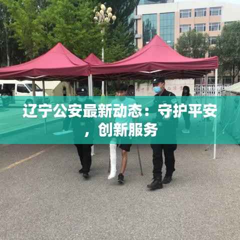 辽宁公安最新动态：守护平安，创新服务
