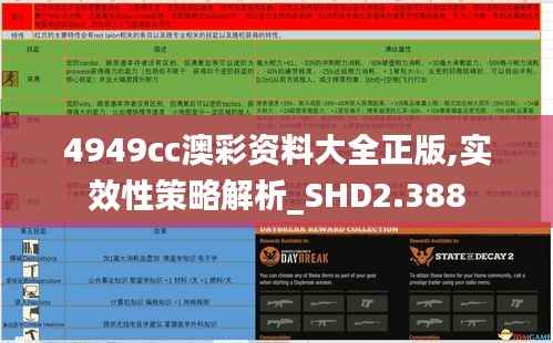4949cc澳彩资料大全正版,实效性策略解析_SHD2.388
