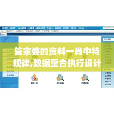 管家婆的资料一肖中特规律,数据整合执行设计_尊贵款3.360