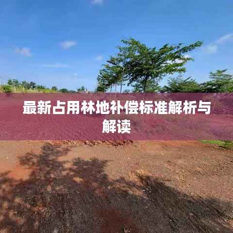 司空见惯 第2页