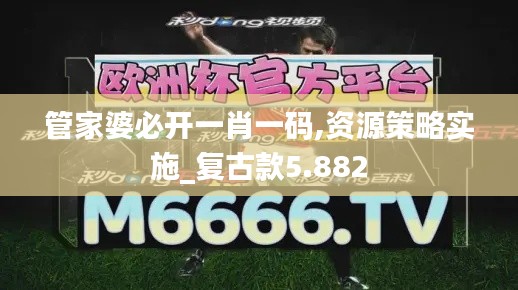 管家婆必开一肖一码,资源策略实施_复古款5.882