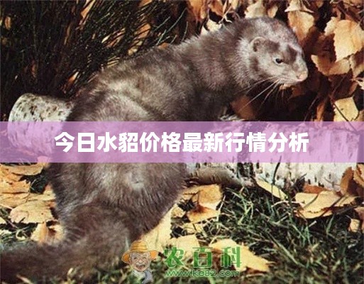 井蛙醯鸡 第4页