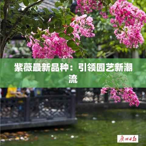 紫薇最新品种：引领园艺新潮流