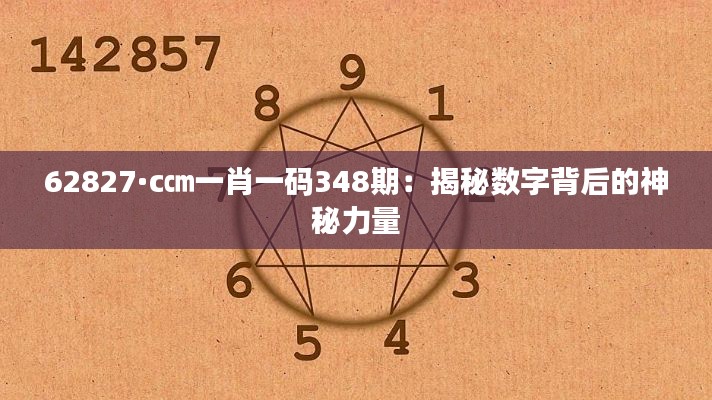 62827·c㎝一肖一码348期：揭秘数字背后的神秘力量