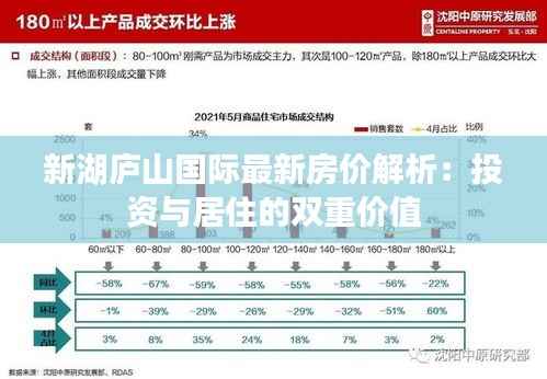 新湖庐山国际最新房价解析:投资与居住的双重价值