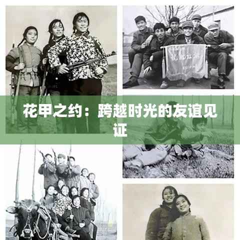 花甲之约：跨越时光的友谊见证