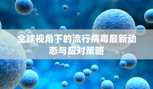 窗明几净 第2页