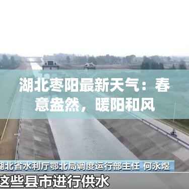 湖北枣阳最新天气:春意盎然,暖阳和风