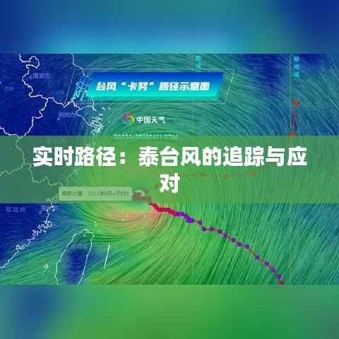实时路径：泰台风的追踪与应对