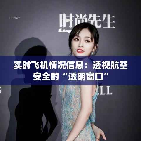 实时飞机情况信息：透视航空安全的“透明窗口”