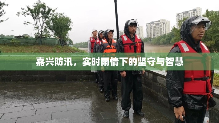 嘉兴防汛，实时雨情下的坚守与智慧
