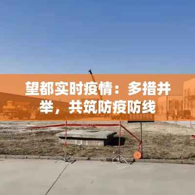 望都实时疫情:多措并举,共筑防疫防线