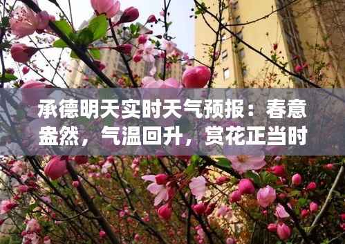 悬梁刺股 第2页