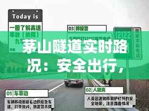 物离乡贵 第2页