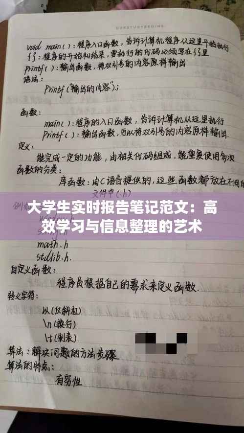 大学生实时报告笔记范文：高效学习与信息整理的艺术