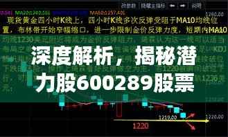 深度解析，揭秘潜力股600289股票，投资推荐！