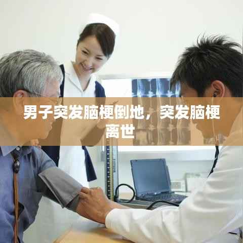 笼中之鸟 第2页