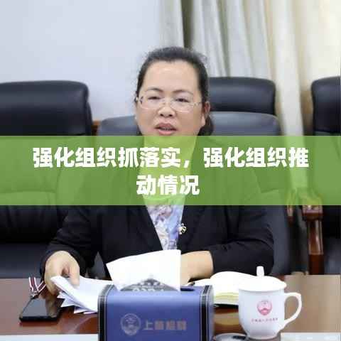 强化组织抓落实,强化组织推动情况