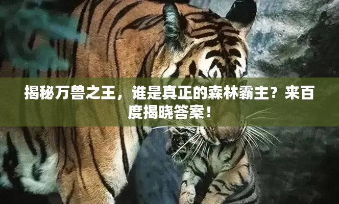 如翚斯飞 第2页