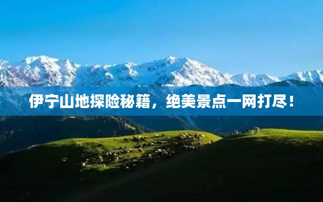 伊宁山地探险秘籍,绝美景点一网打尽!
