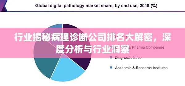 行业揭秘病理诊断公司排名大解密，深度分析与行业洞察