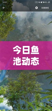 今日鱼池动态,最新消息与图片概览
