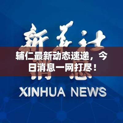 辅仁最新动态速递,今日消息一网打尽!