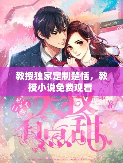 教授独家定制楚恬，教授小说免费观看 