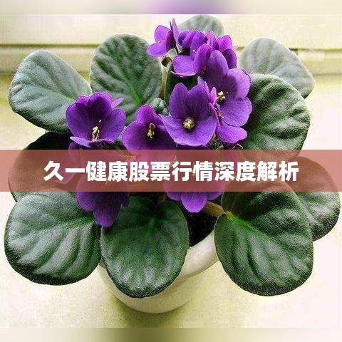 久一健康股票行情深度解析