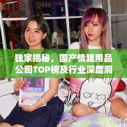 独家揭秘,国产情趣用品公司TOP榜及行业深度洞察